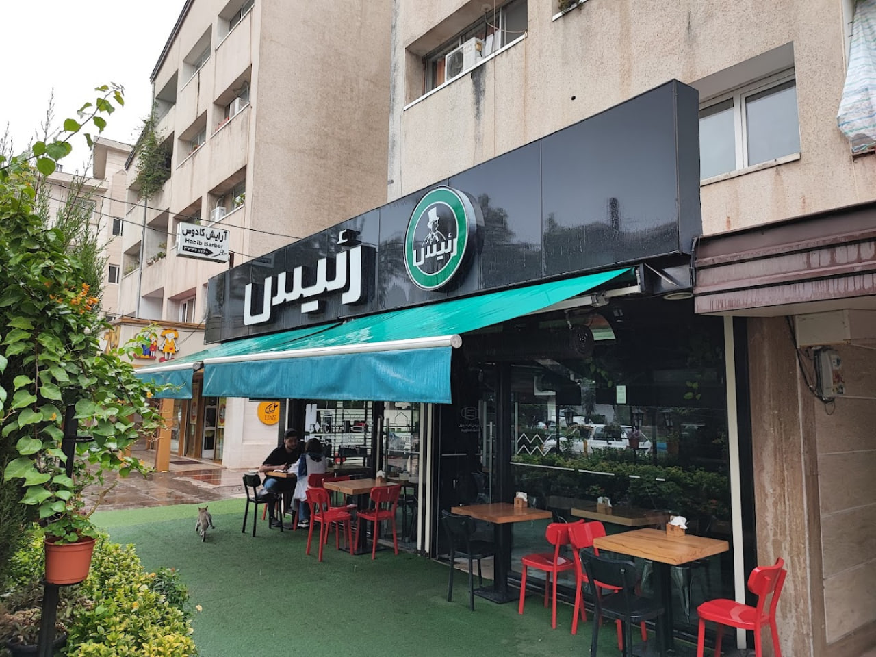 کافه رئیس (منظریه)