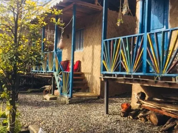 هاستل وارنا رشت