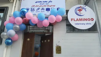درمانگاه دامپزشکی فلامینگو رشت