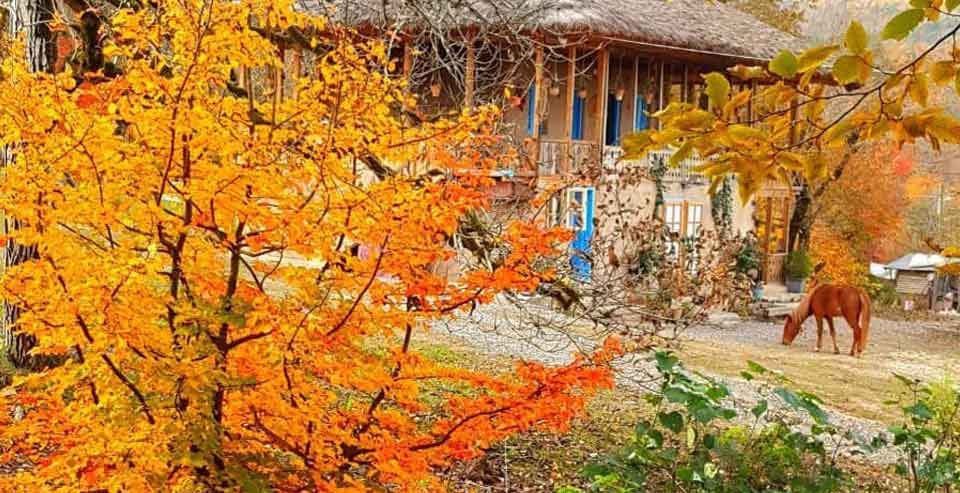 اقامتگاه بوم گردی بهشت رشت