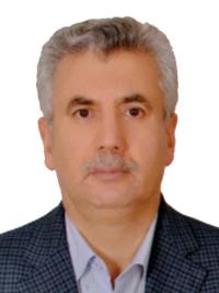 دکتر ایوب ارشادی