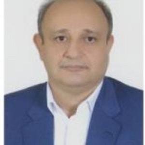 دکتر محمدرضا امام هادی