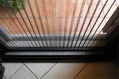 شرکت گلساران