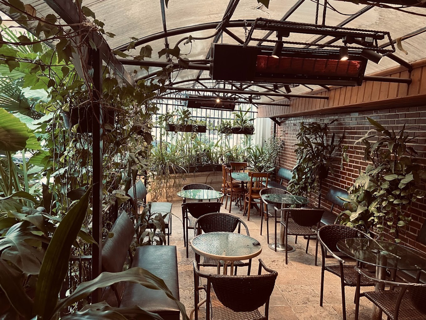 کافه دوک رشت