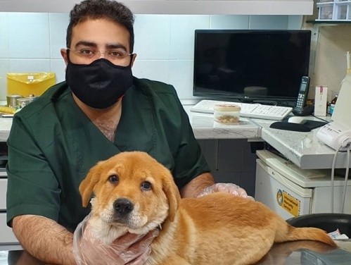 کلنیک دامپزشکی پردیس