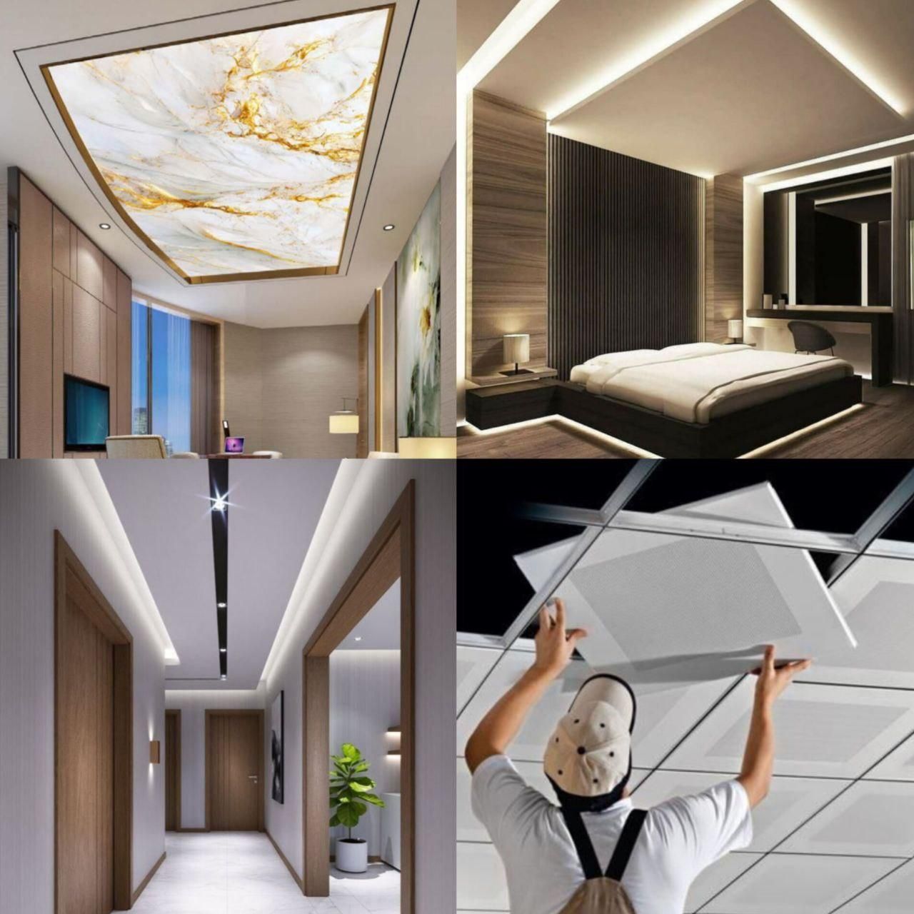 مجری کناف محمدی