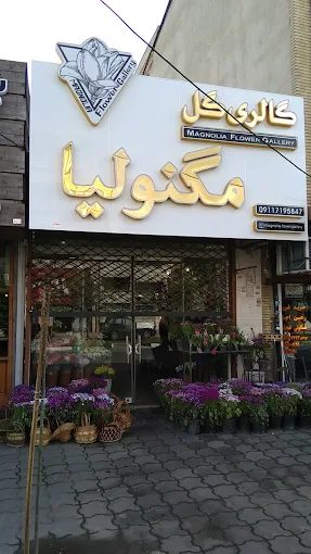 گل ماگنولیا