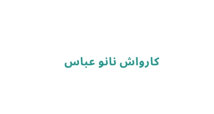 کارواش نانو عباس