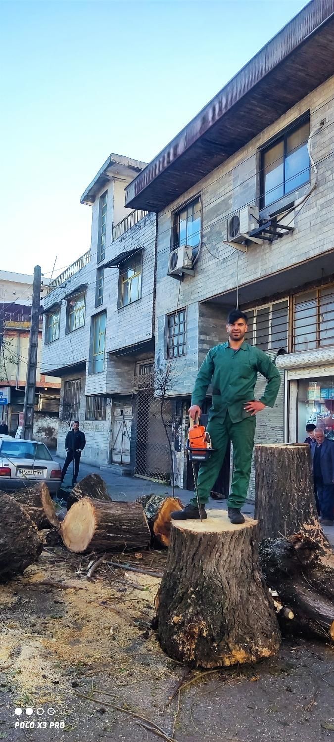 خدمات باغبانی پیچک