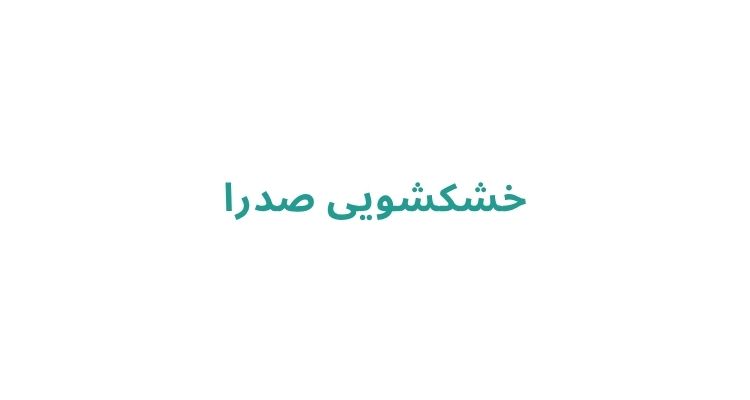 خشکشویی صدرا