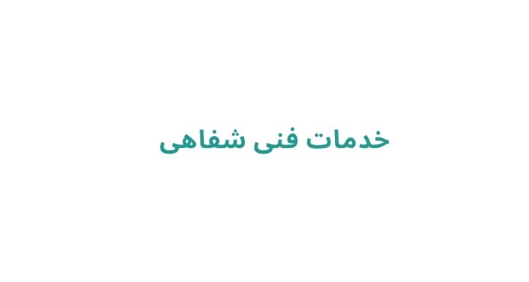 خدمات فنی شفاهی