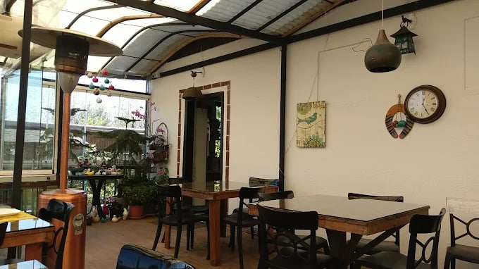 محیط رستوران پیچ 2