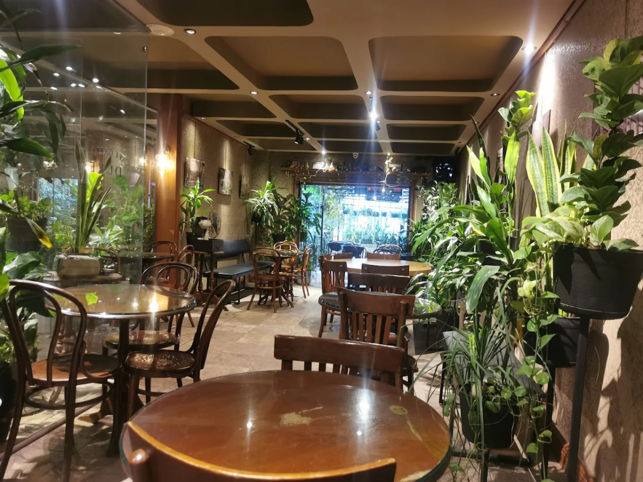 محیط کافه دوک 2