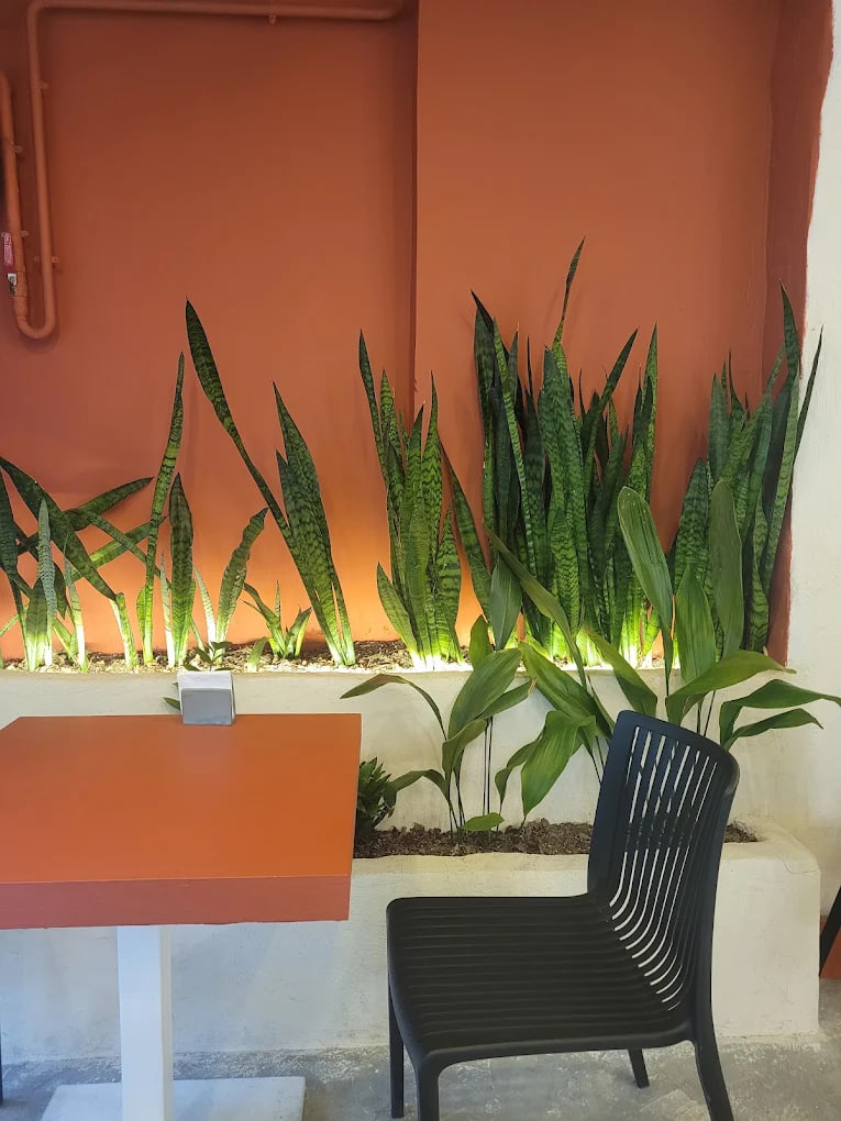 محیط کام کافه 1