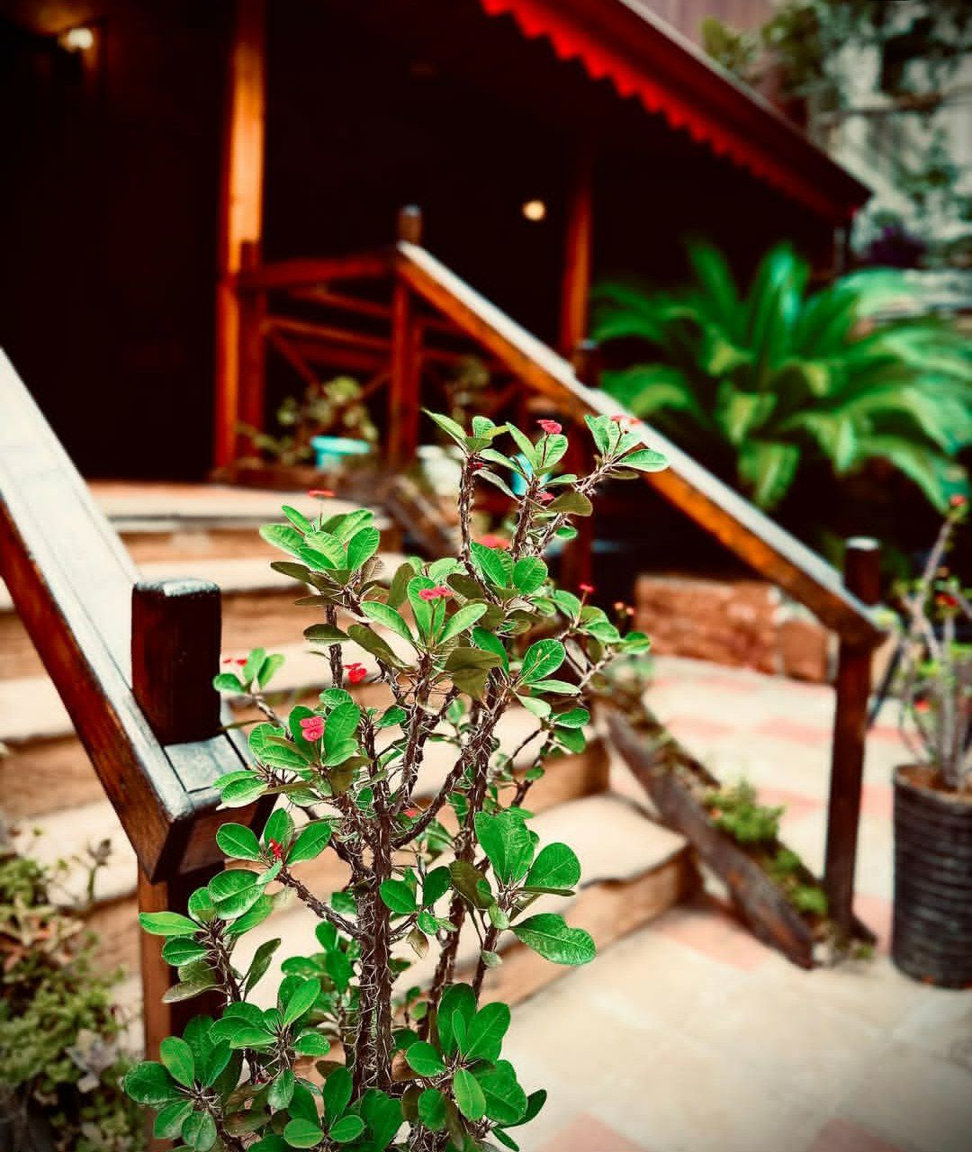 محیط کافه رستوران بالوچی