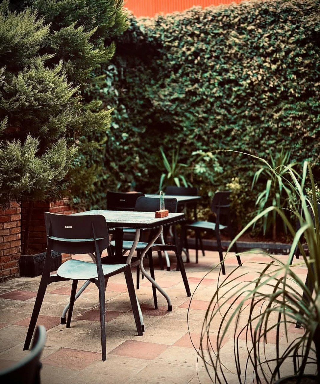 محیط کافه رستوران بالوچی 1