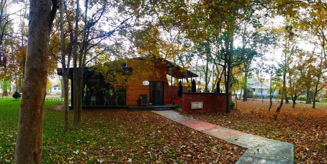 کافه کتاب سایه