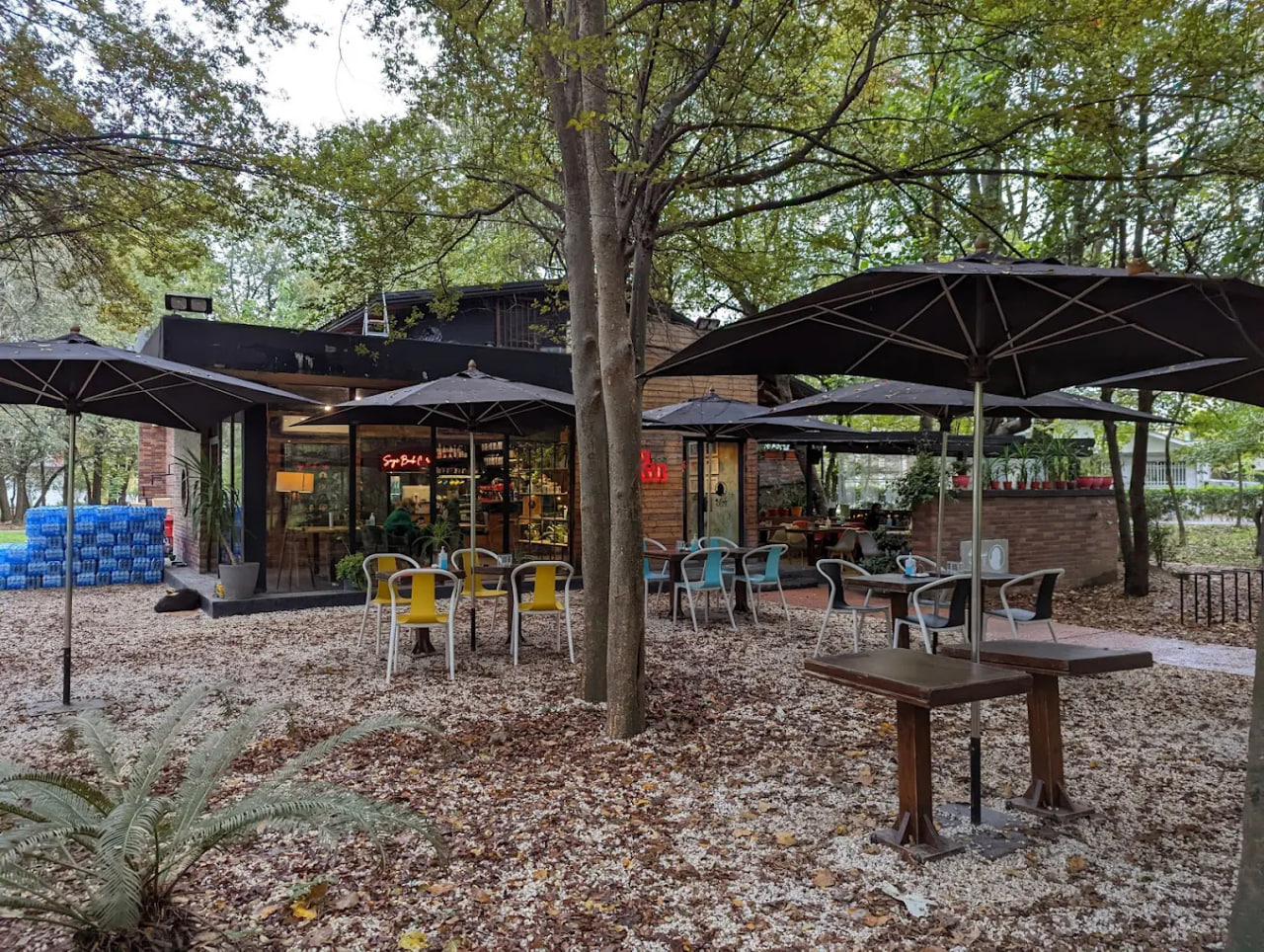 فضای کافه کتاب سایه