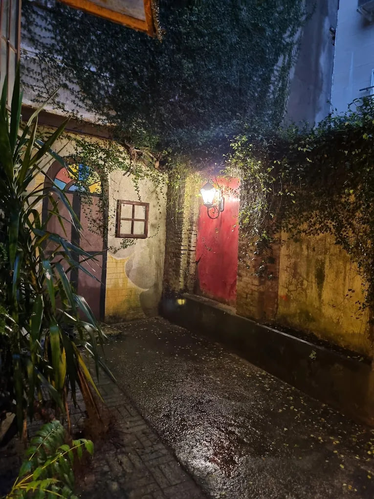 کافه نگارخانه شمس 1