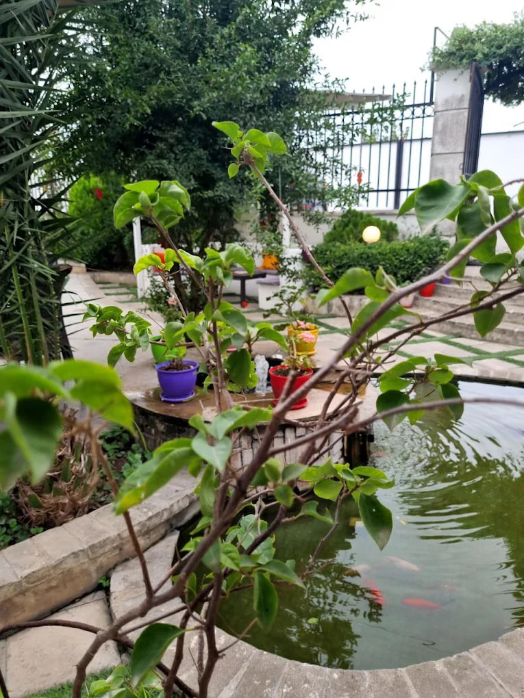 حیاط کافه مهر_نوش