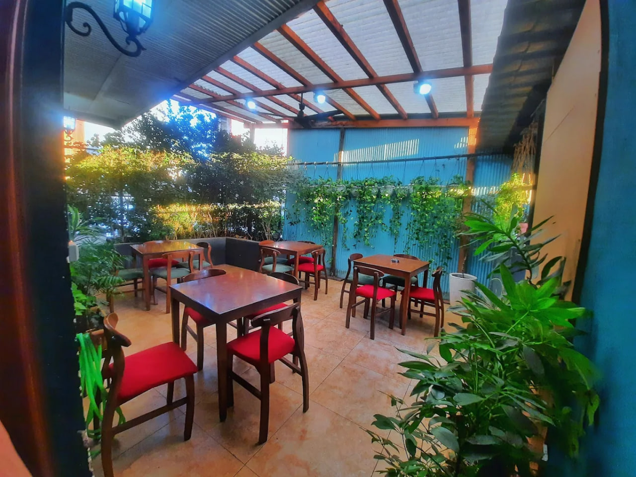 فضای کافه باریش