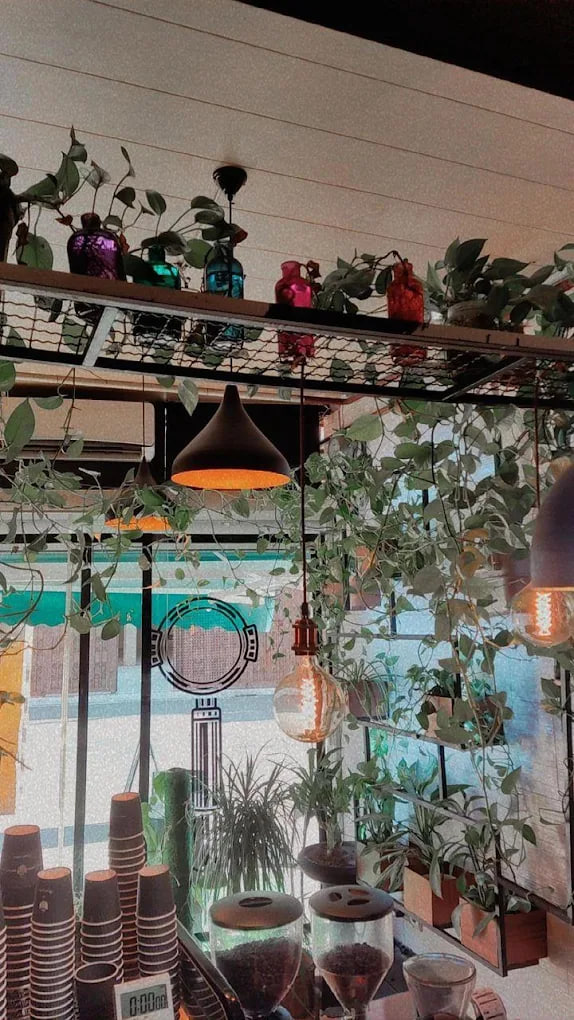 فضای کافه متن