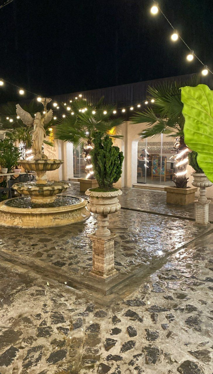 حیاط کافه رستوران پالم