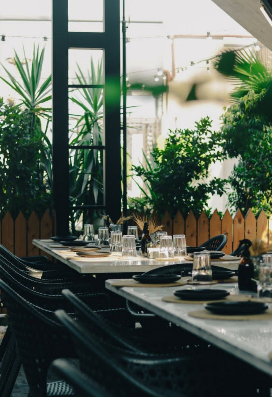 محیط کافه رستوران پالم 2