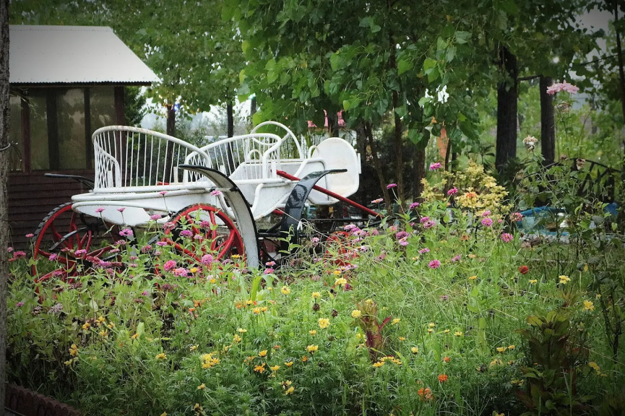 محیط رستوران باغ امپراطور 1