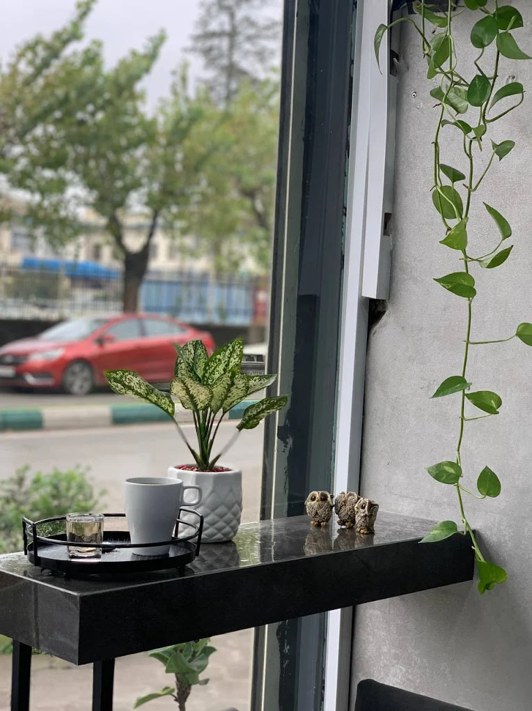 قهوه ویکاپ رشت