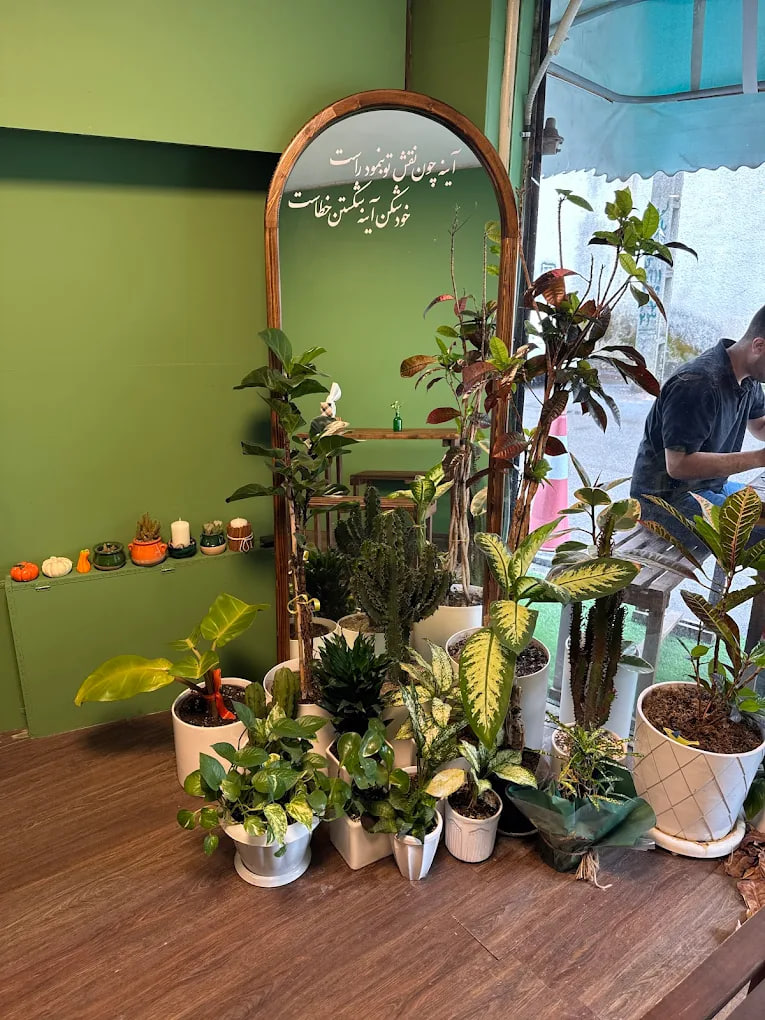 کافه کدو رشت