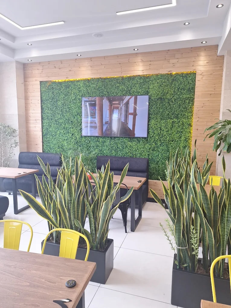 محیط ترک دنر 1