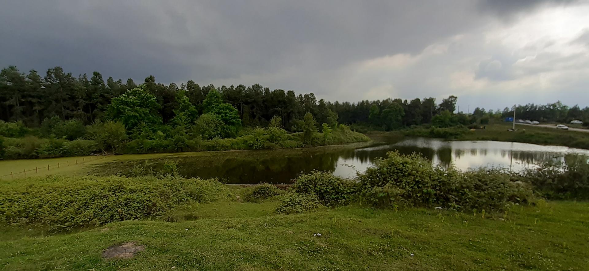 چشمه آب شور لاکان رشت