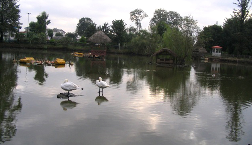 چشمه آب شور لاکان