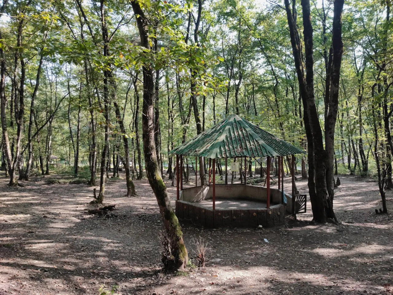 پارک جنگلی سراوان رشت