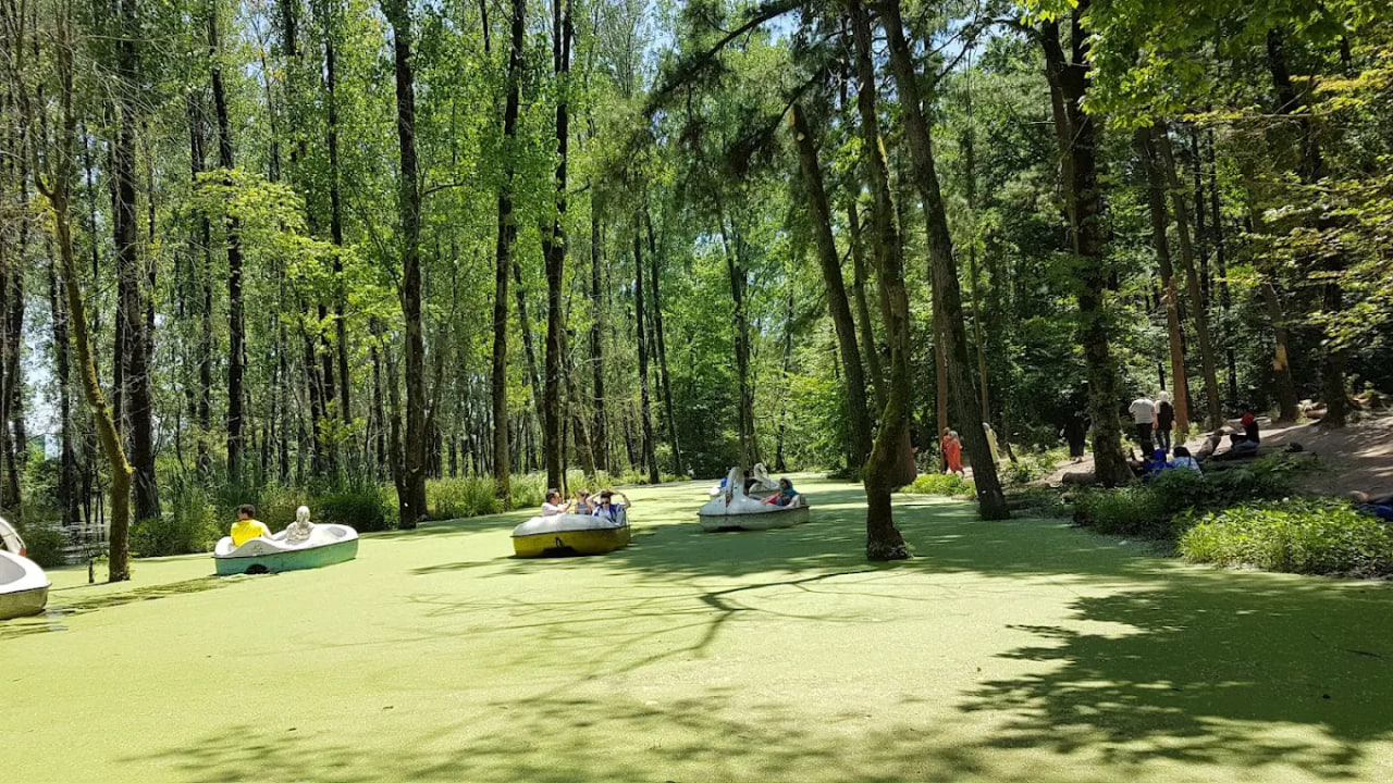 پارک جنگلی سراوان رشت 1