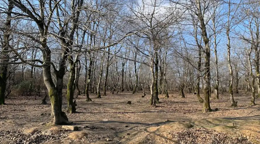 دریاچه سقالکسار