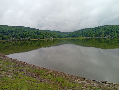 تالاب عینک رشت