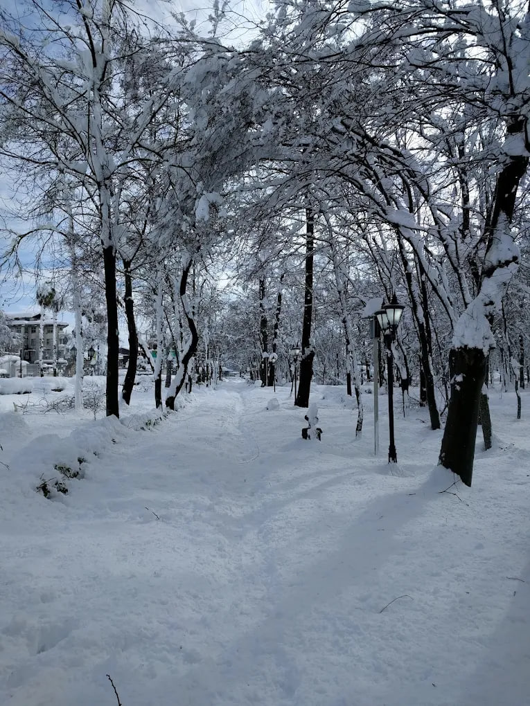 باغ محتشم رشت