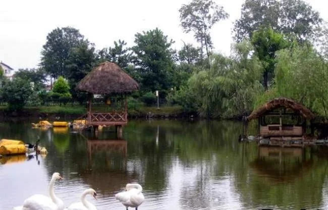 بوستان ملت رشت