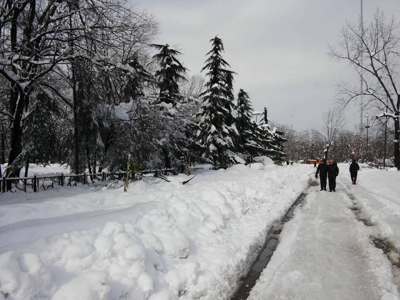 بوستان ملت رشت 1