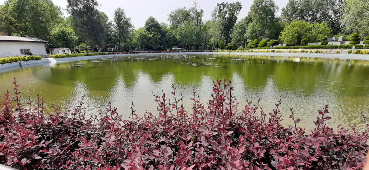 پارک ملت رشت 1