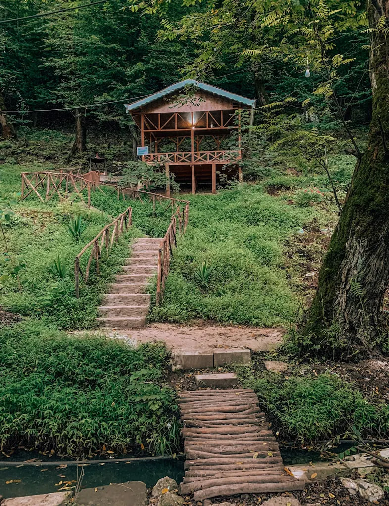 پارک جنگلی ساحلی درنیکا 1