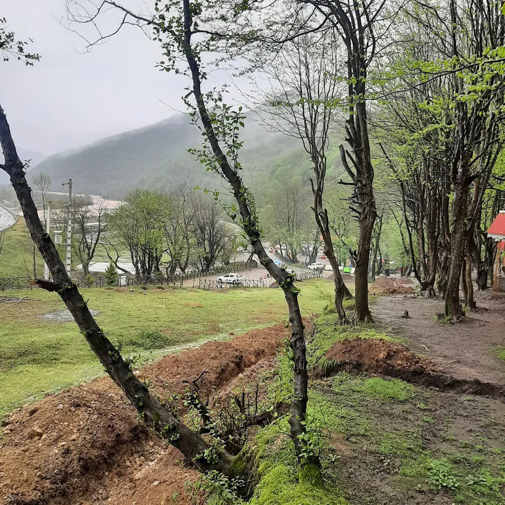 پارک جنگلی ساحلی درنیکا