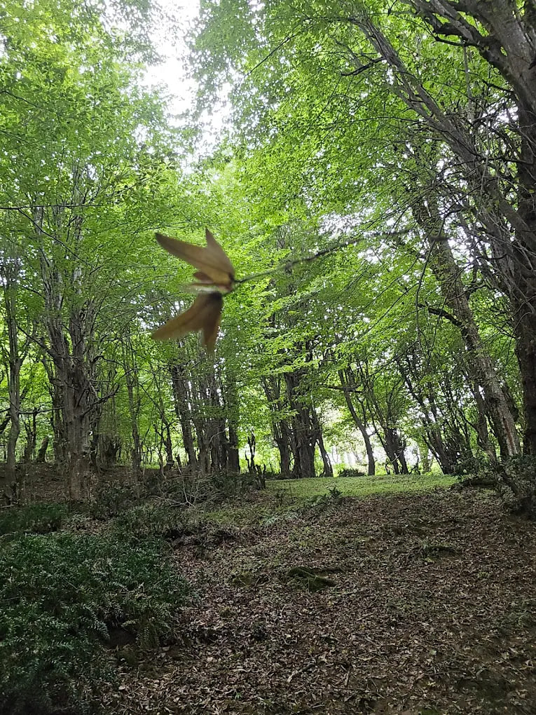 آبشار کچا رشت 2