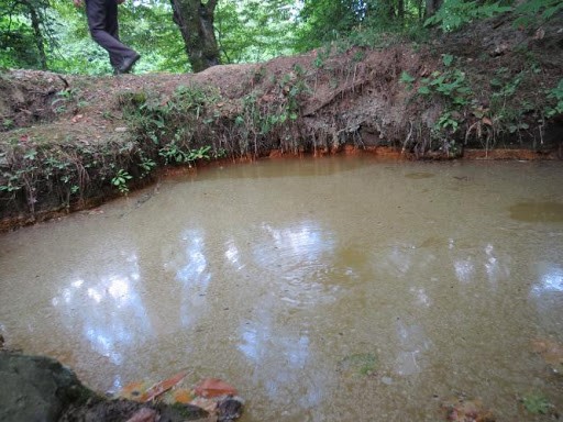 چشمه آب شور لاکان رشت 2