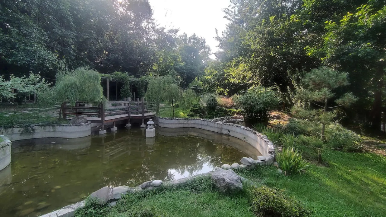 پارک مفاخر رشت 1