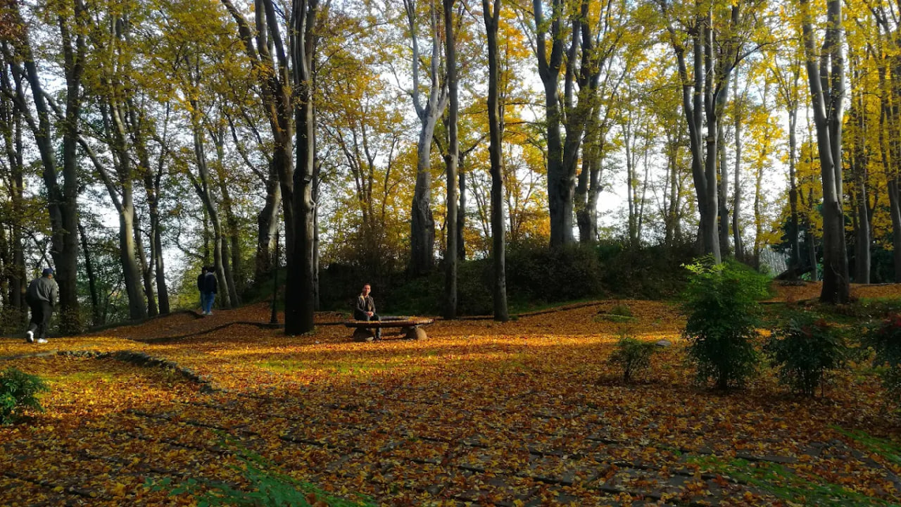 بوستان مفاخر رشت
