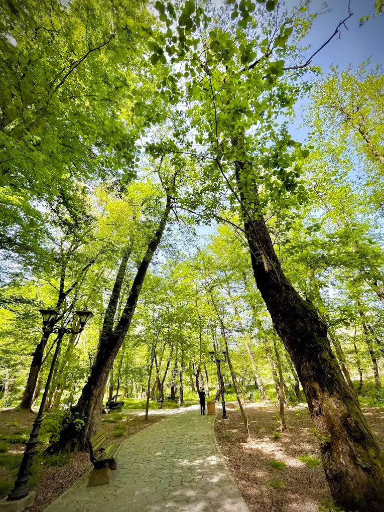 بوستان مفاخر رشت 2