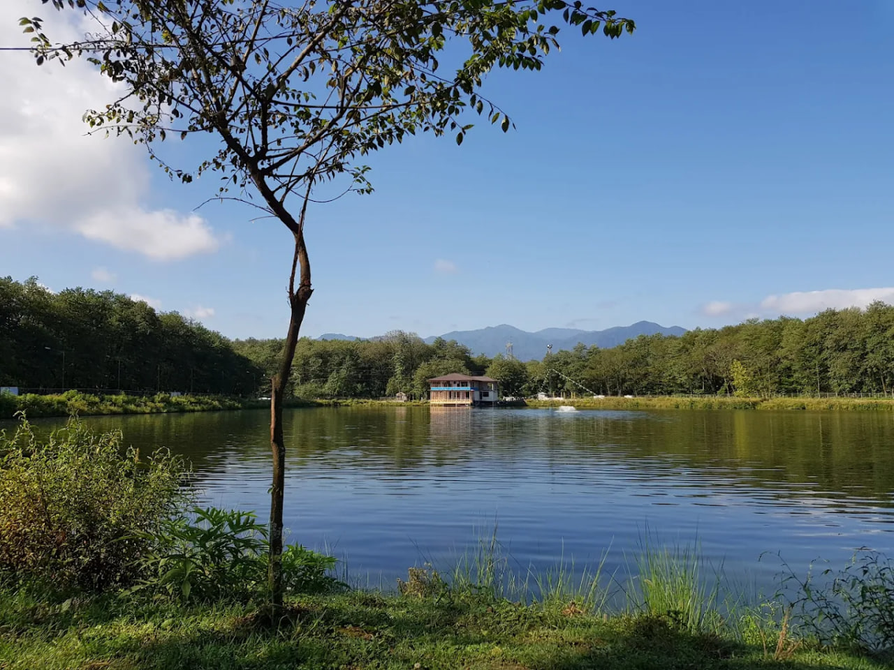 گیسوم گیلان